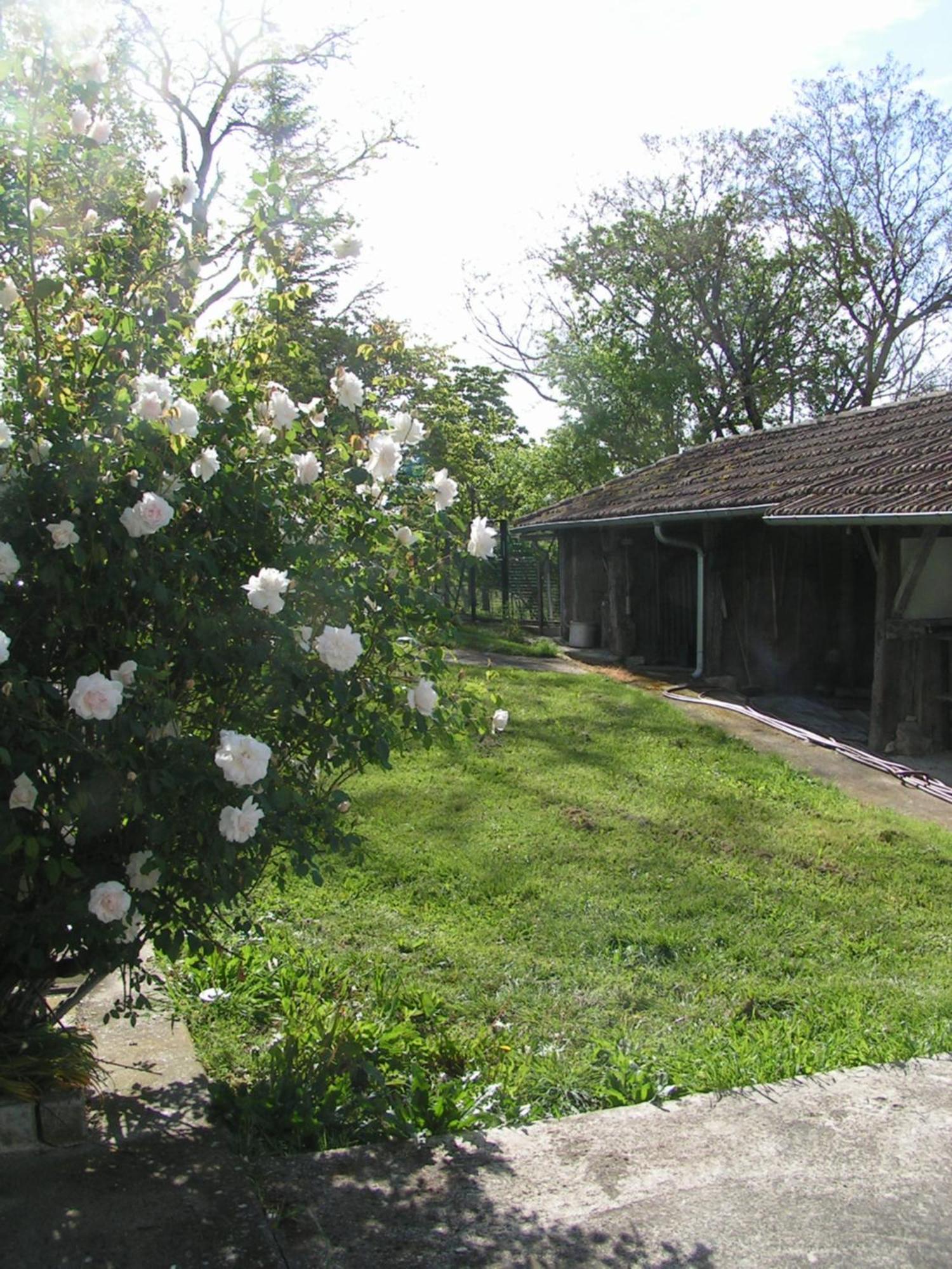 Au Milieu Des Champs Hotel Lectoure Bagian luar foto